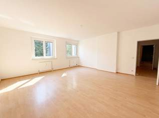 Attraktive 1 Zimmer Wohnung, ruhig und doch im Zentrum!, 482.48 €, Immobilien-Wohnungen in 4600 Wels