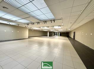 Gewerbestandort nahe Praterstern - über 800 m2 Nutzfläche - Erdgeschossfläche! - JETZT ZUSCHLAGEN, 0 €, Immobilien-Gewerbeobjekte in 1020 Leopoldstadt