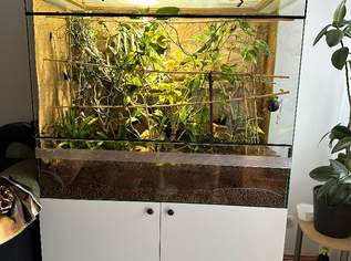 Terrarium mit Unteschrank, Blende und Technik