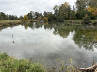 Weiher mit Wiese, 82439 €, Immobilien-Grund und Boden in 5280 Braunau am Inn Weiher mit Wiese, 82439 €, Immobilien-Grund und Boden in 5280 Braunau am Inn