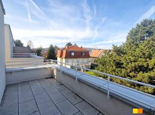 Hallo Familien! Reihenhäuser in Stammersdorf, 651900 €, Immobilien-Häuser in 1210 Floridsdorf Hallo Familien! Reihenhäuser in Stammersdorf, 651900 €, Immobilien-Häuser in 1210 Floridsdorf