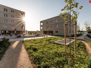 Naturnahes Wohnen in Gunskirchen - geförderte Mietwohnungen in moderner Hybridbauweise, 887.28 €, Immobilien-Wohnungen in 4623 Gunskirchen Naturnahes Wohnen in Gunskirchen - geförderte Mietwohnungen in moderner Hybridbauweise, 887.28 €, Immobilien-Wohnungen in 4623 Gunskirchen