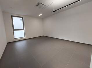 Die ersten 3 Monate Mietfrei! Praxis, Büro oder Geschäftsräumlichkeit im Erdgeschoss inkl. 1 TG Parkplatz - Top 5, 0 €, Immobilien-Gewerbeobjekte in 5280 Braunau am Inn