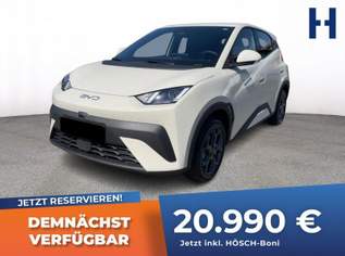 Dolphin Surf BOOST 43 kWh LEDER KAMERA MEGADEAL, 22490 €, Auto & Fahrrad-Autos in 4061 Pasching