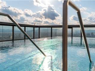 Vollmöblierte 2 Zimmerwohnung mit herrlichem Ausblick über Wien!, 2199 €, Immobilien-Wohnungen in 1030 Landstraße