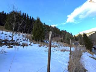 Natur, Ruhe und Aussicht – 2400 m² Baugrund am Semmering, 90000 €, Immobilien-Grund und Boden in 2680 Semmering - Kurort