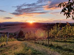 IN SLOWENIEN! Winzerhaus mit Weingarten und Blick bis zum Horizont!, 129000 €, Immobilien-Häuser in 8490 Bad Radkersburg