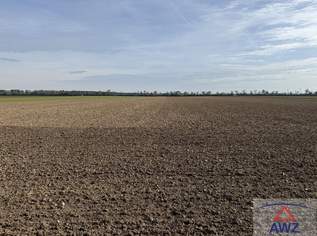 Schöner ebener Acker mit Brunnen!, 0 €, Immobilien-Grund und Boden in 2232 Deutsch-Wagram Schöner ebener Acker mit Brunnen!, 0 €, Immobilien-Grund und Boden in 2232 Deutsch-Wagram