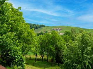 Vielseitiges Haus samt Rohbau-Erweiterung, großem Carport & wunderschönem Garten in Bad Schwanberg