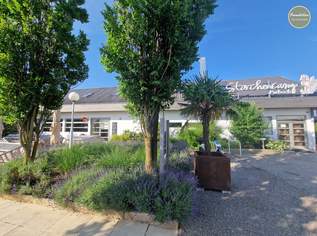 Wohnmobilheim Storchencamp Purbach | sofort verfügbar, 23500 €, Immobilien-Kleinobjekte & WGs in 7083 Purbach am Neusiedler See Wohnmobilheim Storchencamp Purbach | sofort verfügbar, 23500 €, Immobilien-Kleinobjekte & WGs in 7083 Purbach am Neusiedler See