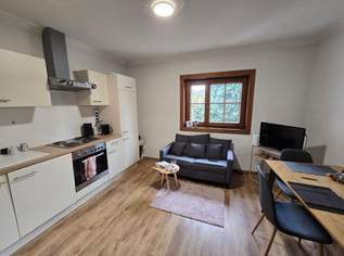 Singlewohnung in zentraler Lage in Lieserbrücke - voll möbliert - inkl. BK und Strom, 666.6 €, Immobilien-Wohnungen in 9851 Lieserbrücke