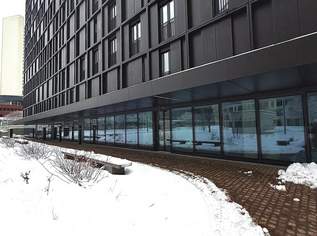 Erstbezug | Attraktive Geschäftsfläche in der Donau City, 2057.4 €, Immobilien-Gewerbeobjekte in 1220 Donaustadt Erstbezug | Attraktive Geschäftsfläche in der Donau City, 2057.4 €, Immobilien-Gewerbeobjekte in 1220 Donaustadt