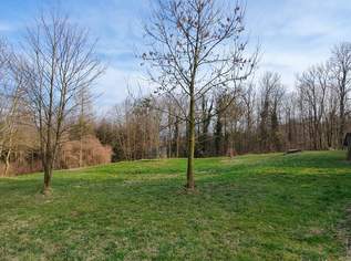 Wald und Wiese, 329000 €, Immobilien-Grund und Boden in 4484 Kronstorf Wald und Wiese, 329000 €, Immobilien-Grund und Boden in 4484 Kronstorf