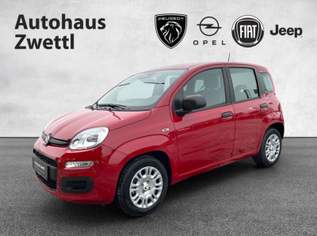 Panda/Pandina Icon Hybrid 70, 15980 €, Auto & Fahrrad-Autos in 3650 Gemeinde Pöggstall