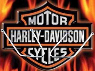 Harley Davidson Sportster 04-20 Satteltaschenhalter Chrom, 50 €, Auto & Fahrrad-Teile & Zubehör in Deutschland