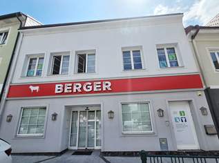 Alles ist möglich! Geschäftslokal - Praxis - Büro, 1500 €, Immobilien-Gewerbeobjekte in 3150 Gemeinde Wilhelmsburg Alles ist möglich! Geschäftslokal - Praxis - Büro, 1500 €, Immobilien-Gewerbeobjekte in 3150 Gemeinde Wilhelmsburg