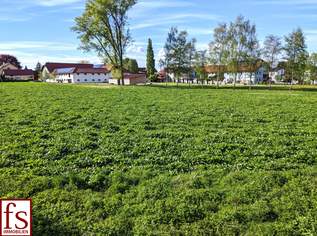 IDYLLISCH gelegener BAUGRUND nahe Ortszentrum – auch für BAUTRÄGER, 74000 €, Immobilien-Grund und Boden in 4712 Michaelnbach IDYLLISCH gelegener BAUGRUND nahe Ortszentrum – auch für BAUTRÄGER, 74000 €, Immobilien-Grund und Boden in 4712 Michaelnbach
