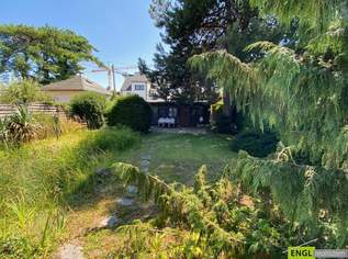 Nähe Alte Donau - Kleingartenidylle mit Potential (ganzjähriges Wohnen), 475000 €, Immobilien-Grund und Boden in 1220 Donaustadt Nähe Alte Donau - Kleingartenidylle mit Potential (ganzjähriges Wohnen), 475000 €, Immobilien-Grund und Boden in 1220 Donaustadt
