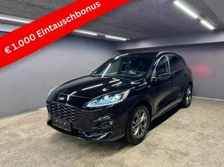Kuga ST-Line X, 28900 €, Auto & Fahrrad-Autos in 6020 Innsbruck