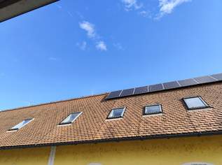 Velux Dachflächenfenster, 130 €, Haus, Bau, Garten-Hausbau & Werkzeug in 8341 Paldau