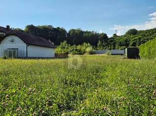 ATTRAKTIVES BAUGRUNDSTÜCK OHNE BAUZWANG NAHE AMSTETTEN, 70 €, Immobilien-Grund und Boden in 3372 Katastralgemeinde Blindenmarkt