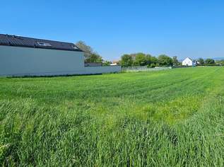 Wunderschöner sonniger Baugrund in Oslip, 349000 €, Immobilien-Grund und Boden in 7064 Oslip