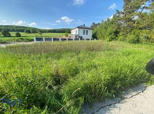 Traumhaftes Baugrundstück in Siegenfeld, 159000 €, Immobilien-Grund und Boden in 2500 Katastralgemeinde Siegenfeld