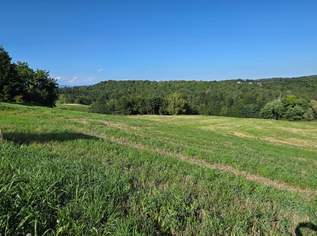 3 Baugrundstücke 15 km östlich von Graz zum Sonderpreis!, 185000 €, Immobilien-Grund und Boden in 8323 Kohldorf