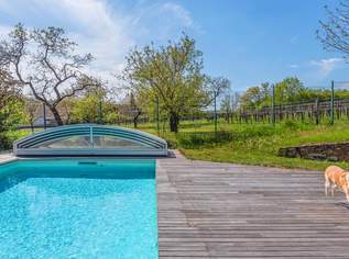 Mitten in den Weinbergen, ein Haus mit Herz, 998000 €, Immobilien-Häuser in 3550 Gemeinde Langenlois