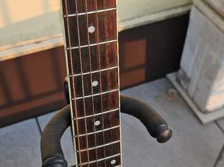 Peal Roundback-Semiakustik + Koffer