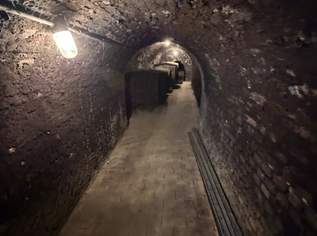 Charmantes Presshaus mit historischem Weinkeller & Entwicklungspotenzial – seltene Gelegenheit!, 130000 €, Immobilien-Häuser in 3550 Gemeinde Langenlois