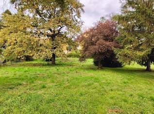 Traumhafte Fahnenparzelle am Fuße des Bisambergs, 1050000 €, Immobilien-Grund und Boden in 2103 Langenzersdorf Traumhafte Fahnenparzelle am Fuße des Bisambergs, 1050000 €, Immobilien-Grund und Boden in 2103 Langenzersdorf