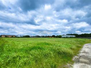 UNBEBAUTES BETRIEBSBAUGRUND 12.490m, 1399000 €, Immobilien-Gewerbeobjekte in 2285 Gemeinde Leopoldsdorf im Marchfelde