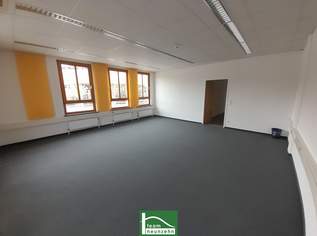 Großes Büro mit Wintergarten und Terrasse auf 2 Ebenen nahe Traisenpark! JETZT ANFRAGEN. - WOHNTRAUM, 3296.65 €, Immobilien-Gewerbeobjekte in 3100 Stattersdorf