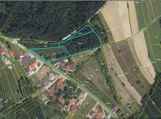 sonniges Grundstück OHNE BAUZWANG, 98000 €, Immobilien-Grund und Boden in 7501 Oberdorf im Burgenland