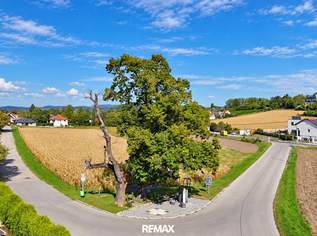 "756m² Baugrund in der Gemeinde Bisamberg – neu aufgeschlossen", 439000 €, Immobilien-Grund und Boden in 2102 Klein-Engersdorf "756m² Baugrund in der Gemeinde Bisamberg – neu aufgeschlossen", 439000 €, Immobilien-Grund und Boden in 2102 Klein-Engersdorf