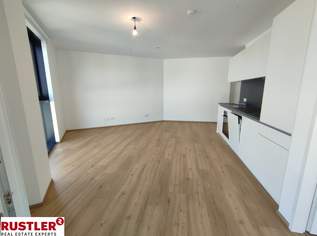 Über den Dächern von Linz, Neu, Modern, Zentral, 856.06 €, Immobilien-Wohnungen in Oberösterreich