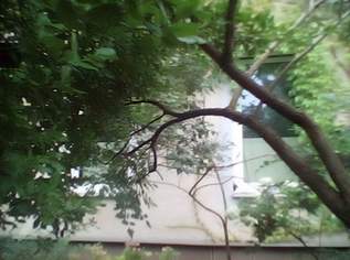 Wohnung für Single Wohnung für Single