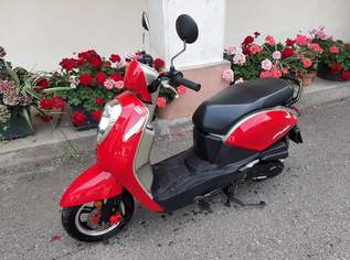 Roller, SYM MIO 50 Roller, SYM MIO 50