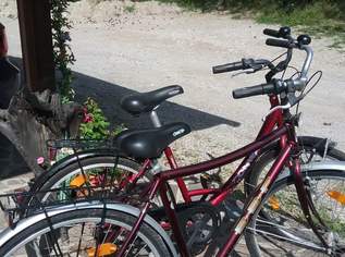 Fahrräder , 100 €, Auto & Fahrrad-Fahrräder in 9161 Maria Rain Fahrräder , 100 €, Auto & Fahrrad-Fahrräder in 9161 Maria Rain