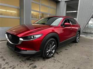 CX-30 X186 GT+/SO/PR/TE in höchster Ausstattung, 26390 €, Auto & Fahrrad-Autos in 2380 Gemeinde Perchtoldsdorf CX-30 X186 GT+/SO/PR/TE in höchster Ausstattung, 26390 €, Auto & Fahrrad-Autos in 2380 Gemeinde Perchtoldsdorf