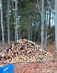 zu verkaufen ist gutes brennholz , 100 €, Haus, Bau, Garten-Hausbau & Werkzeug in 3911 Marbach am Walde