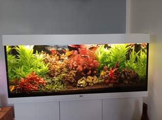 Juwel Aquarium 240 Liter 