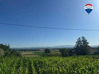 Einzigartiges Baugrundstück in Alkovner Aussichtslage , 269000 €, Immobilien-Grund und Boden in 4072 Alkoven Einzigartiges Baugrundstück in Alkovner Aussichtslage , 269000 €, Immobilien-Grund und Boden in 4072 Alkoven