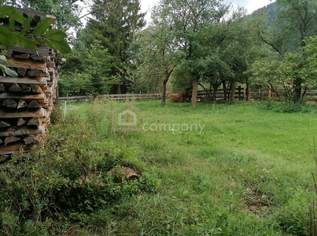 Bauernhaus / Vierkanthof mit großem Ausbaupotenzial in Puchberg am Schneeberg, 520000 €, Immobilien-Häuser in 2734 Gemeinde Puchberg am Schneeberg