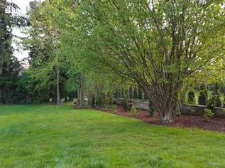 TRAUMHAFTE DG WOHNUNG IM COTTAGEVIERTEL, 1782 €, Immobilien-Wohnungen in 1140 Penzing