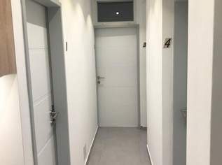 Geschäftslokal - ein Objekt - viele Möglichkeiten!, 2434.49 €, Immobilien-Gewerbeobjekte in 1100 Favoriten