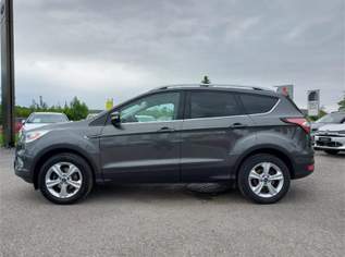 KUGA Trend 1.5Ecoboost 120PS M6 F, 12990 €, Auto & Fahrrad-Autos in 5202 Neumarkt am Wallersee KUGA Trend 1.5Ecoboost 120PS M6 F, 12990 €, Auto & Fahrrad-Autos in 5202 Neumarkt am Wallersee