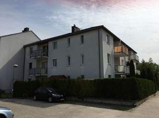 Unbefristete 2-Zimmer-Wohnung mit Garten und Loggia in Absdorf, 411.76 €, Immobilien-Wohnungen in 3462 Absdorf
