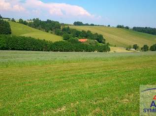 Landwirtschaftliche Flächen in Jois zu verkaufen!, 0 €, Immobilien-Grund und Boden in 7093 Gemeinde Jois